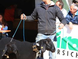 2019_ausstellung polling_323